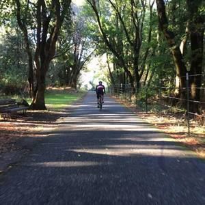 Meet your Posher, Ken